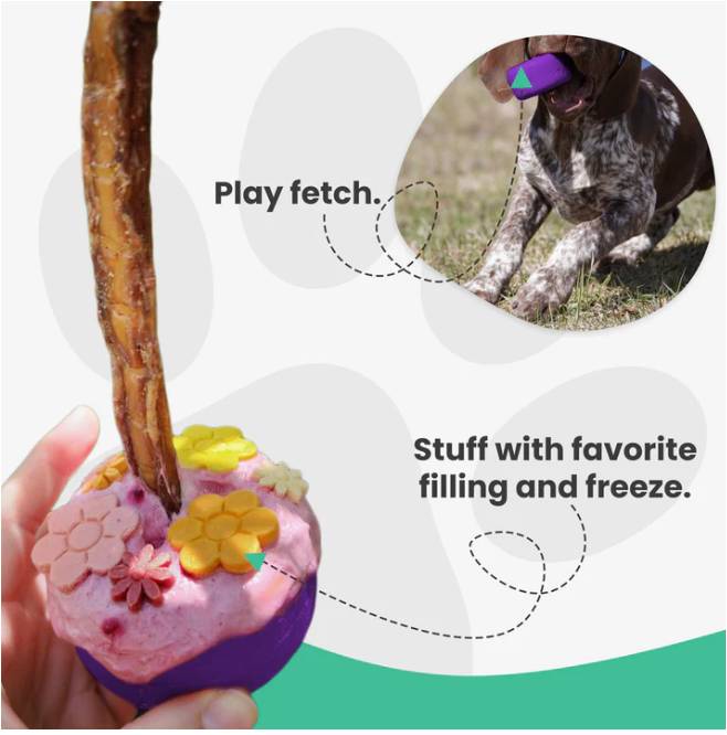 Bully Stick Holder – Medium Size Chew Resistant  Fits Treat Sticks from 5/8" to 7/8" Wide, Non-Toxic Rubber Dog Toy & Safety Device